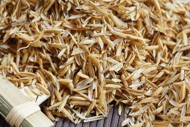 Balle de riz