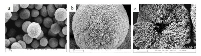 Porous Calcium Carbonate 1