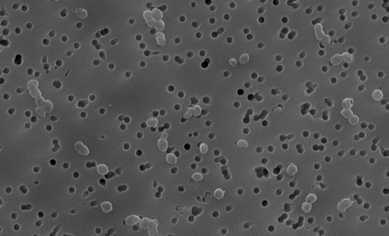 I tensioattivi influenzano l'agglomerazione delle polveri