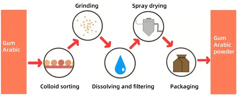 Processus de production de la gomme arabique