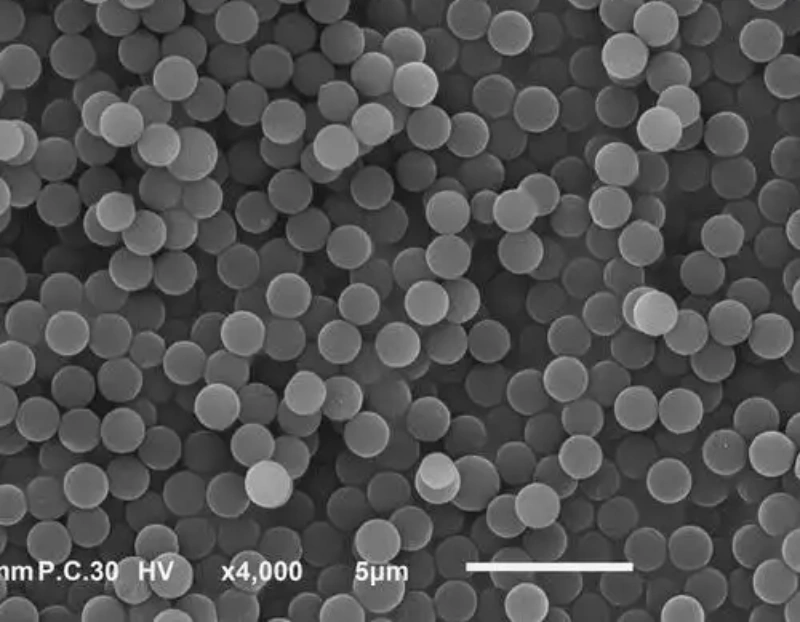 Microesferas de PMMA 1