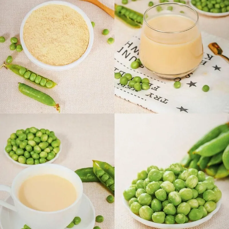 poudre de protéines de pois