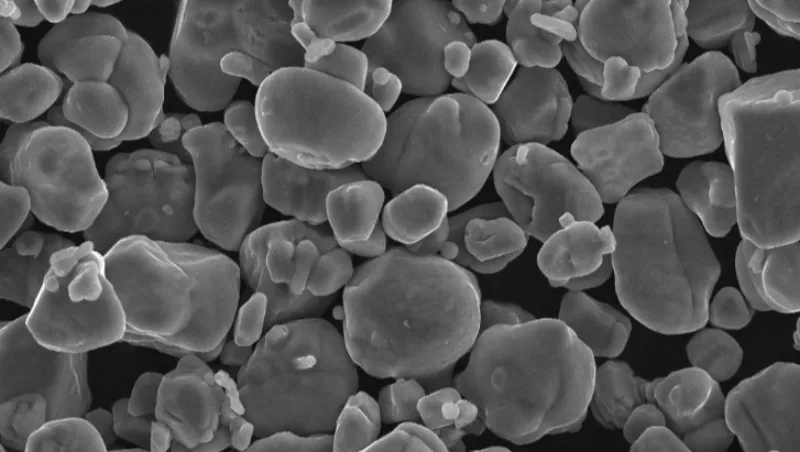 Image au microscope électronique du NCM