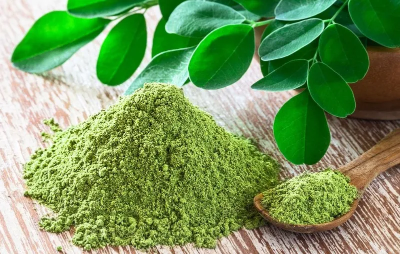 Poudre de moringa