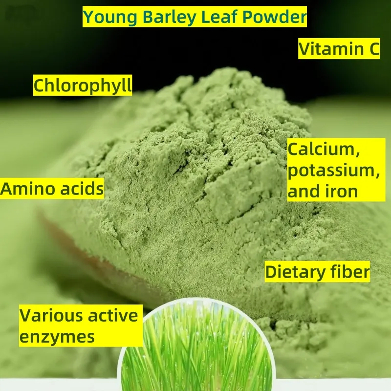 Young Barley Leaf Powder