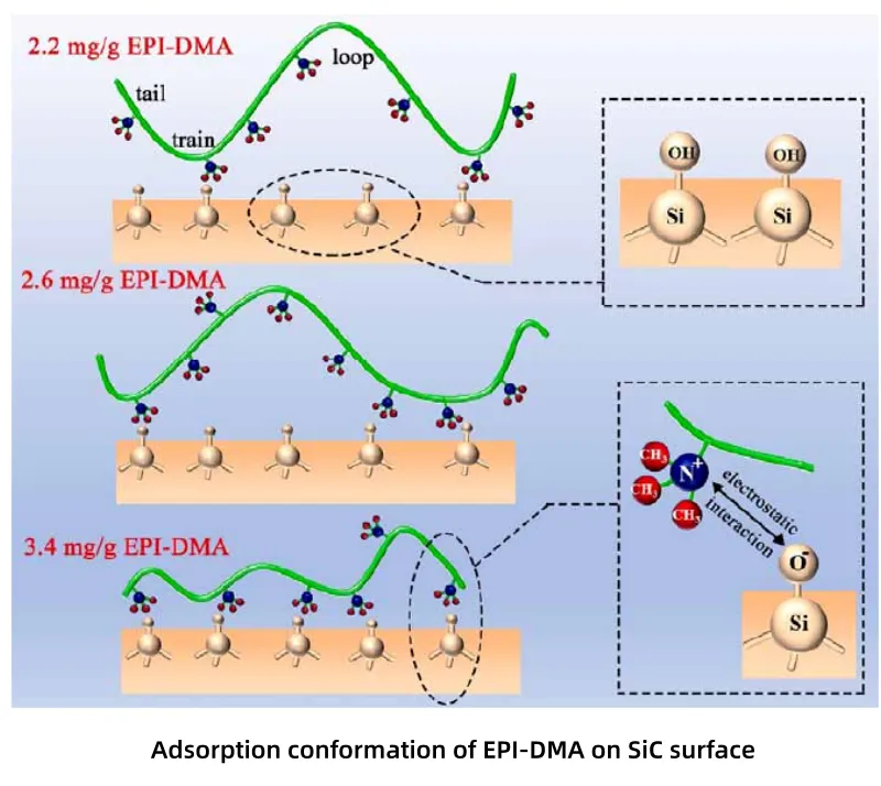 Conformation d'adsorption de l'EPI-DMA sur la surface SiC