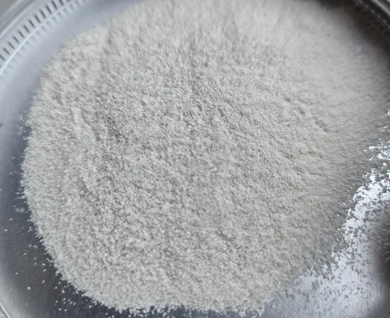 Poudre de polyétheréthercétone (PEEK)
