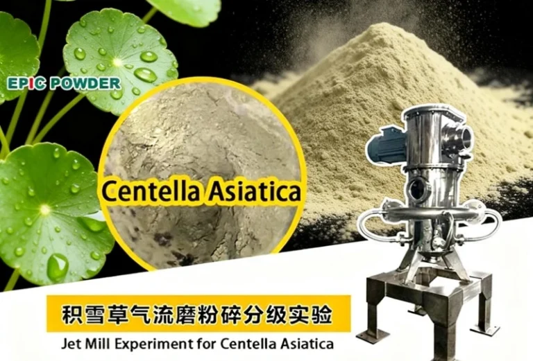 Broyeur à jet pour Centella Asiatica