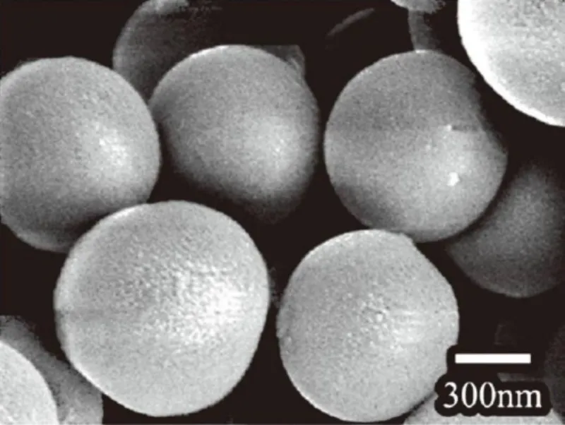Morphologie MEB de la poudre d'alumine
